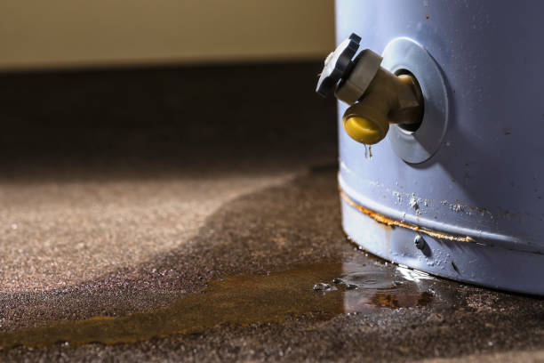 Best Mold removal after water damage  in Golden Shores, AZ