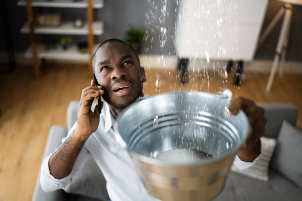 Best Carpet water damage restoration  in Golden Shores, AZ