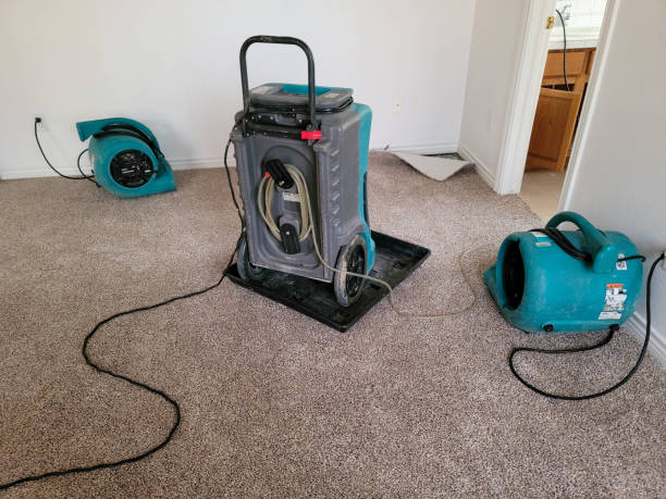 Best Water damage contractors near me  in Golden Shores, AZ