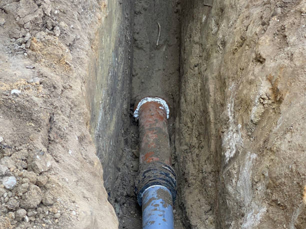 Best Sewage cleanup and water damage restoration  in Golden Shores, AZ