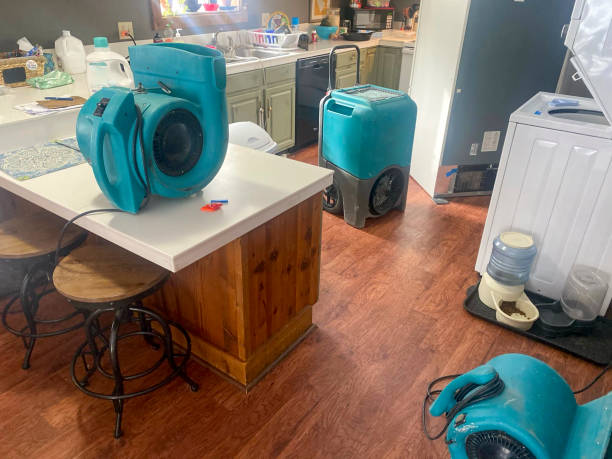 Water damage restoration insurance claims in Golden Shores, AZ