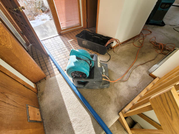 Local water damage restoration in Golden Shores, AZ