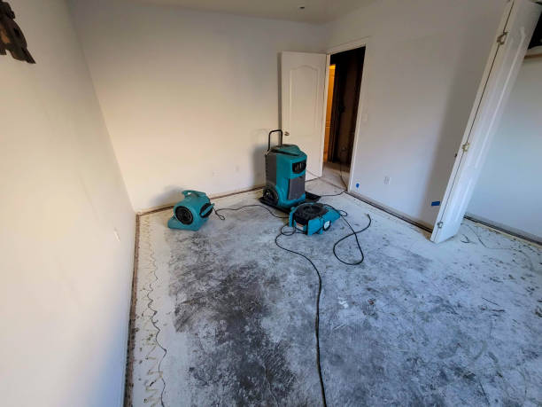 Best Fire Damage Restoration  in Golden Shores, AZ