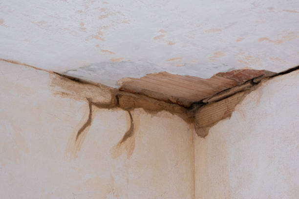 Best Commercial water damage restoration  in Golden Shores, AZ