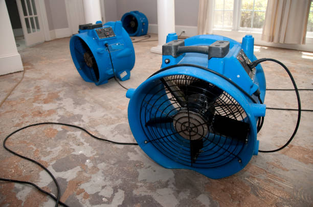 Best Fire Damage Restoration  in Golden Shores, AZ
