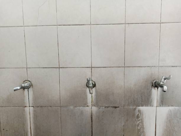 Local water damage restoration in Golden Shores, AZ