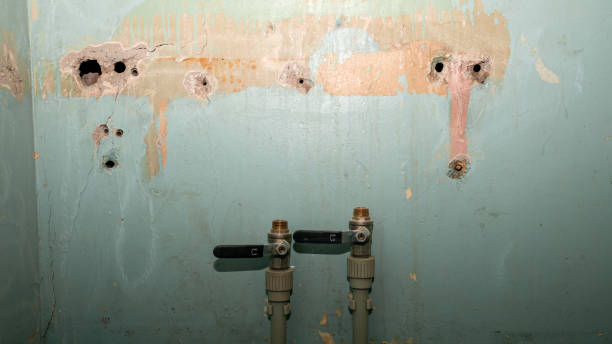 Best Residential water damage restoration  in Golden Shores, AZ