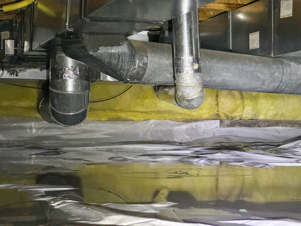 Best Flood restoration services  in Golden Shores, AZ
