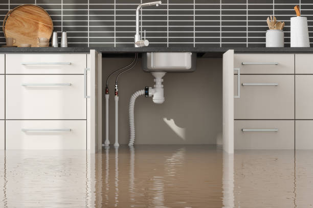 Best Flood damage cleanup  in Golden Shores, AZ