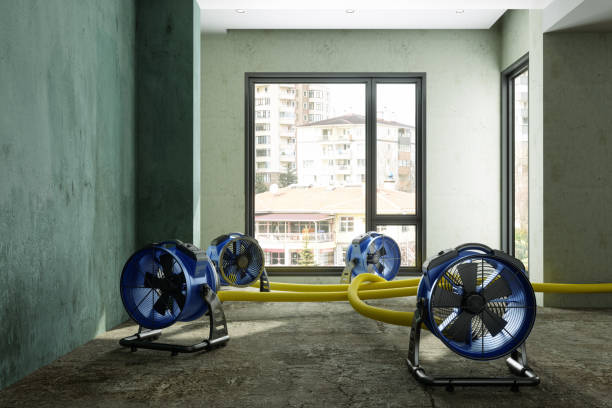 Golden Shores, AZ Water damage restoration Company