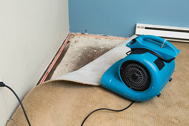 Best Emergency water damage restoration  in Golden Shores, AZ